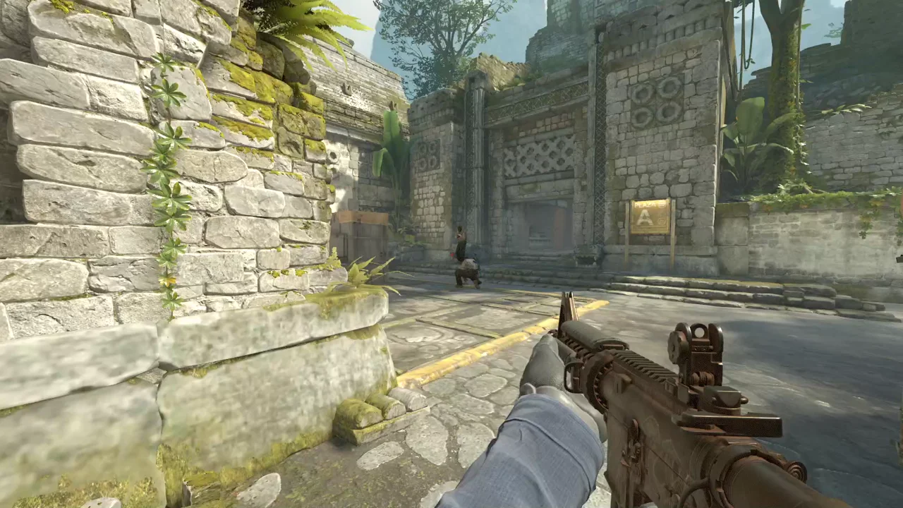 highlight